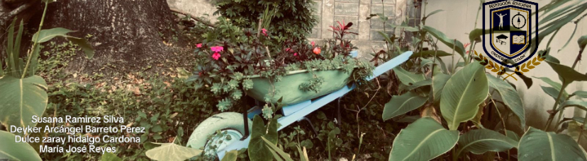 WhatsApp Image 2025-09-17 at 4.46.05 PM.